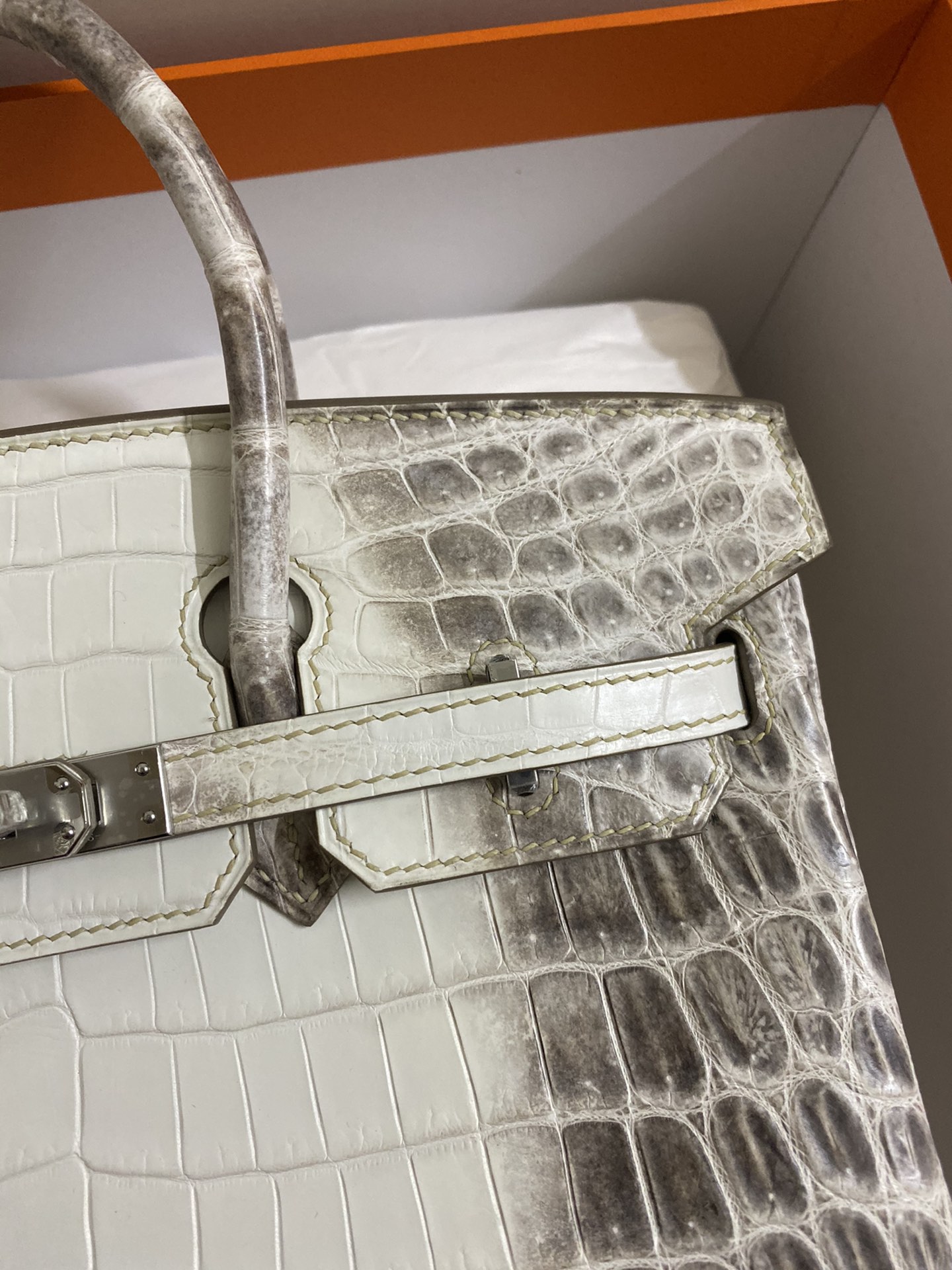 Hermes Himalayan Birkin 25CM Niloticus Crocodile Skin